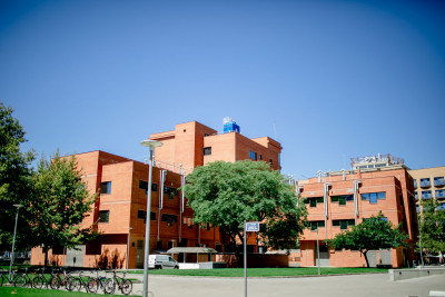 asistencia-tecnica-en-proyecto-de-investigacion-del-instituto-de-tecnologia-quimica-upv-csic